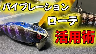 【TNトリゴン】秋のバイブレーション早巻き術【バス釣り】【三河湖】 [upl. by Honey]