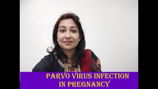 Parvo virus Infection in Pregnancy [upl. by Eralcyram396]