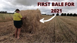 Triticale Hay Making We Are Raking amp Bailing [upl. by Aloysia]