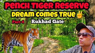 Pench National Park Safari  Dream Sighting  Pench Tiger Reserve  Rukadh Gate Junglehactor Ep4 [upl. by Niel]