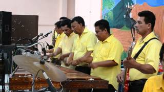 Marimba Hermanos Salazar del ejido Francisco Villa de Villaflores chiapas [upl. by Adur]