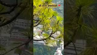 vaishnodevidham travel katra maa matarani [upl. by Ragland]