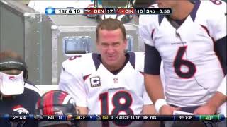 Broncos Bengals Week 9 2012 Highlights [upl. by Felecia348]