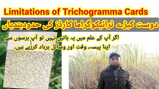 Limitations of Trichogramma Cards What is Trichogramma [upl. by Omero]