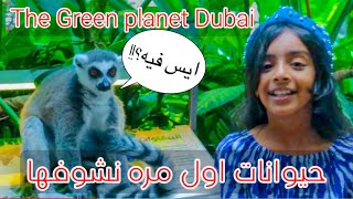 thegreenplanetdubai الكوكب الاخضر [upl. by Leslee]