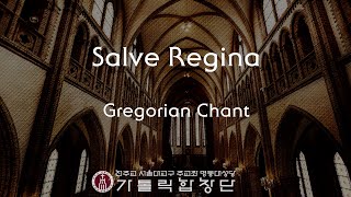 서울대교구 주교좌 명동대성당 가톨릭합창단 Salve ReginaGregorian Chant [upl. by Eirhtug]