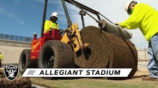 First Grass Laid on Field Tray at Allegiant Stadium  Las Vegas Raiders [upl. by Leahpar]