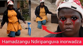 Ndirikurarama Hupenyu Hunorwadza Hamadzangu [upl. by Octavus209]