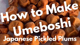 How to Make Umeboshi 梅干 Part 1 of 3 [upl. by Nor835]