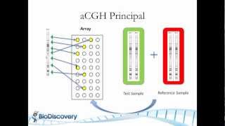 Basic Principles of Array CGH [upl. by Ilona46]