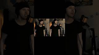 Linkin Park  Faint vocal cover pt2 artmartvoice [upl. by Aihsenek]