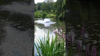 Springbrunnen am Regnitzaltwasser in Forchheim 🙂🌊🏞👍 [upl. by Gretna]