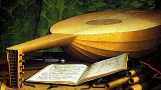 12 Weiss  Lute SonataSuite No25 in g minor  Robert Barto baroque lute [upl. by Ahseket]