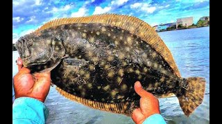 Seabrook Tx Flounder Fishing 2020 FLOUNDER RUN [upl. by Addiego]