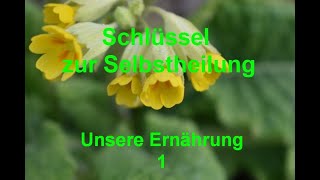 Unsere Ernährung 1 [upl. by Ardolino]