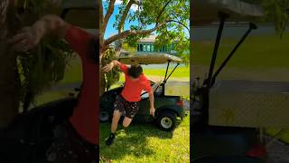 I Crashed My New Golf Cart [upl. by Alyac295]