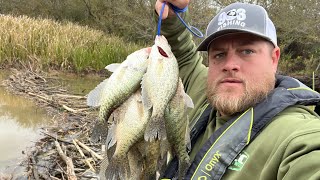 Ill Be DAM 🦫 Creek CRAPPIE Fishing With Jig amp Bobber‼️CRAPPIE Fishing 2024‼️ [upl. by Steinke]