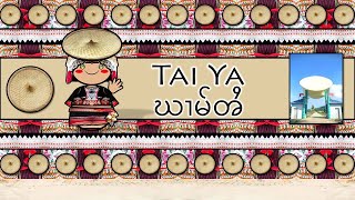 TAI YA LANGUAGE PEOPLE amp CULTURE [upl. by Octavian]