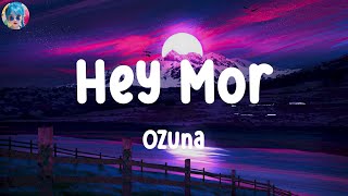 Ozuna  Hey Mor  LETRA   Rema [upl. by Mara]