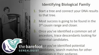 AncestryDNA  More Tips for Identifying Biological Family  Ancestry [upl. by Lellih326]