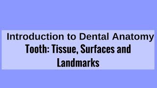 Tooth Tissue Surfaces and Landmarks [upl. by Noreh]