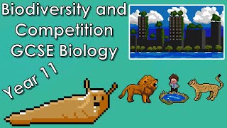 Competition between Organisms and Protecting Biodiversity  WJEC Biology  GCSE REVISION Year 11 [upl. by Lewan]