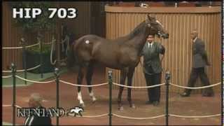 Zenyatta at the 2005 September Yearling Sale [upl. by Drooff]