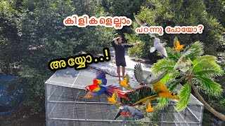 ദൈവമേ കിളിക്കൂടിനു എന്തുപറ്റി  What Happened to Aviary during Monsoon [upl. by Bunting365]