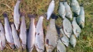 tevzaobarustavshikrestebzeFishing on the lake [upl. by Sirois]