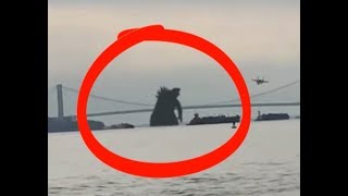 5 GODZILLA caught on camera  spotted in real life [upl. by Ettenil]