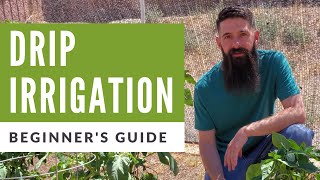 Installing Drip Irrigation in Vegetable Garden  A Beginners Guide to Drip Irrigation [upl. by Hirza]