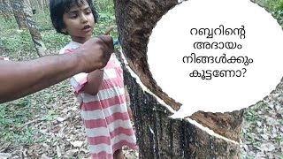 Use of ethephon in rubberറബ്ബറിന്റെ ആദായം കൂട്ടാൻ നിങ്ങളും ആഗ്രഹിക്കുന്നുണ്ടോEthephon [upl. by Hugibert]