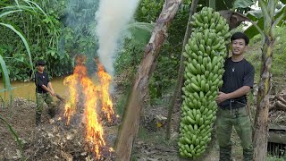 Harvest bananasDragonCustard apples to market sell GardeningEarn money preparing build new house [upl. by Deron]