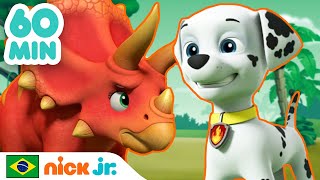 Patrulha Canina  60 MINUTOS da nova Patrulha Canina  Nick Jr em Português [upl. by Tamiko393]