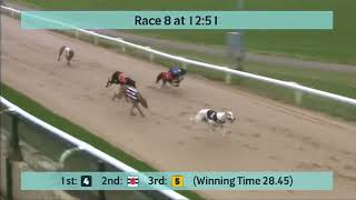 Kinsley Greyhound Races on 12th May 2023 [upl. by Belda364]