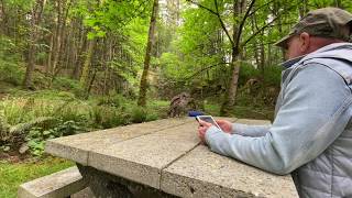 Calling Barred Owls [upl. by Kielty822]