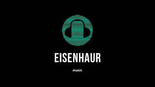 Eisenhaur  Sets  December 2022 Mix [upl. by Aihsotan]