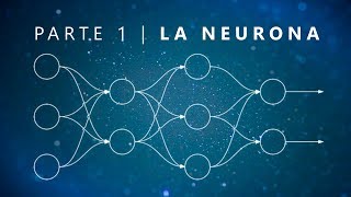 ¿Qué es una Red Neuronal Parte 1  La Neurona  DotCSV [upl. by Kelwunn167]