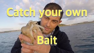 Bass Fishing and Bait Collection  Sea Fishing UK [upl. by Ijneb388]