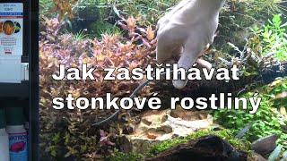 Juwel Akvarium  Jak zastřihávat stonkové rostliny [upl. by Rihaz526]