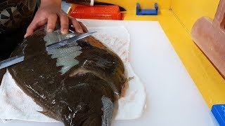 How to fillet a halibut 35kg [upl. by Dinsdale]