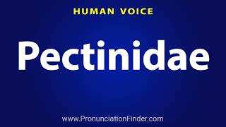 How To Pronounce Pectinidae [upl. by Aron]