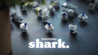 Good Weird or Bad Weird  Momoka Shark Tactile Review [upl. by Enneite]