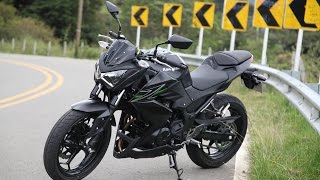 Kawasaki Z250  Top Speed amp Performance Test [upl. by Nilorac581]