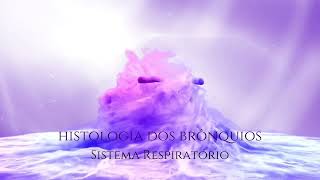 Histologia dos Brônquios [upl. by Adniram]