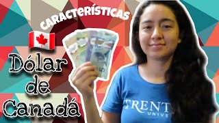 Dólar de Canadá 🇨🇦 Monedas y billetes canadienses AriDay [upl. by Marino]