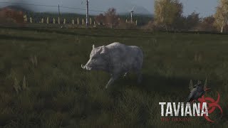 Dev Vlog 10  AI  Animals [upl. by Norga]