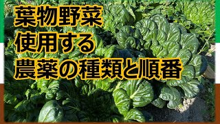 【葉物野菜】菜っ葉に使用する農薬の種類と順番 ～おまけ～ 天然の自然薯とニガカシュウの見分け方 [upl. by Jelena343]