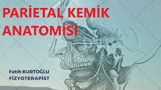 FTR  PARİETAL KEMİK  Anatomi Konu Anlatımı10 [upl. by Enrahs600]