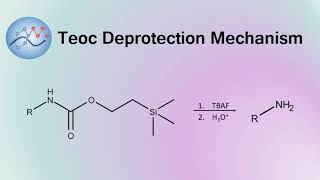 Teoc Group Deprotection Mechanism  Organic Chemistry [upl. by Alema751]